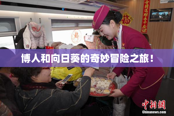 博人和向日葵的奇妙冒险之旅！