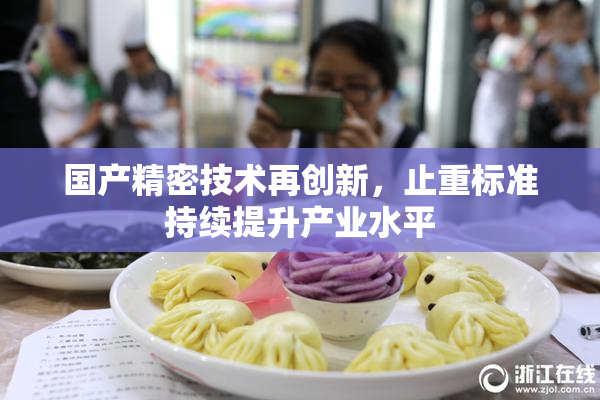 国产精密技术再创新，止重标准持续提升产业水平