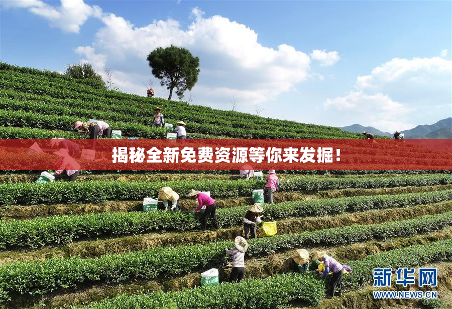 揭秘全新免费资源等你来发掘！