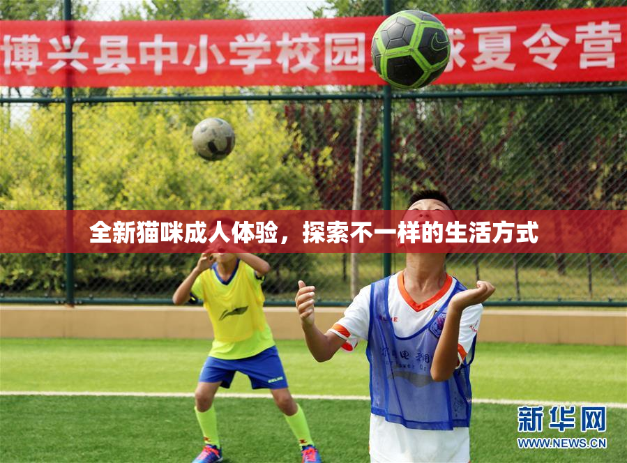 全新猫咪成人体验，探索不一样的生活方式