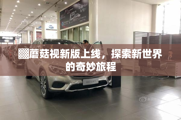 ▓蘑菇视新版上线，探索新世界的奇妙旅程