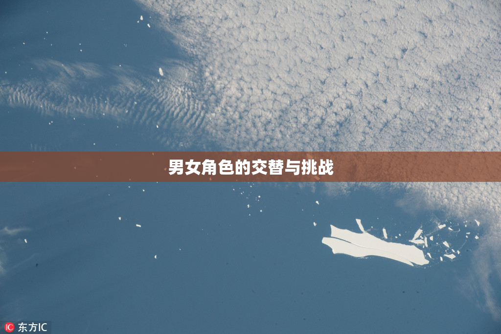 男女角色的交替与挑战