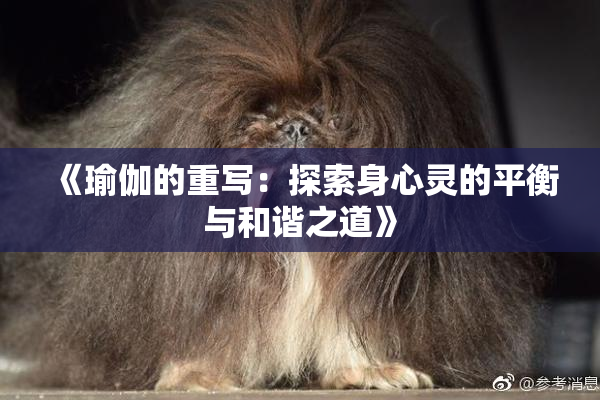 《瑜伽的重写：探索身心灵的平衡与和谐之道》