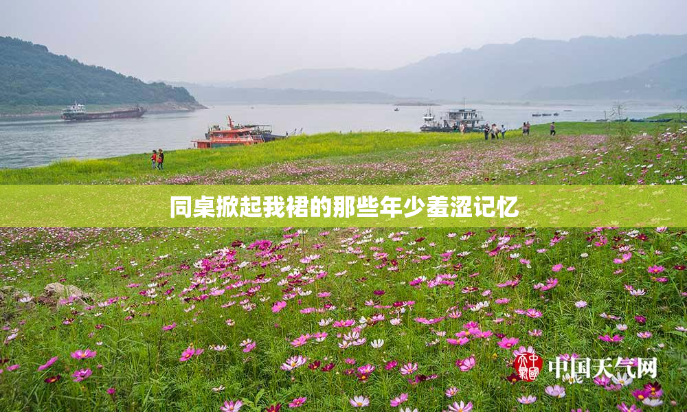 同桌掀起我裙的那些年少羞涩记忆