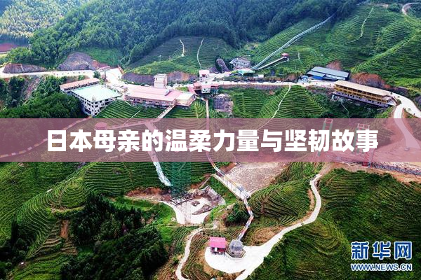 日本母亲的温柔力量与坚韧故事