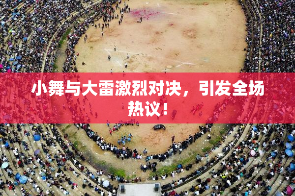 小舞与大雷激烈对决，引发全场热议！