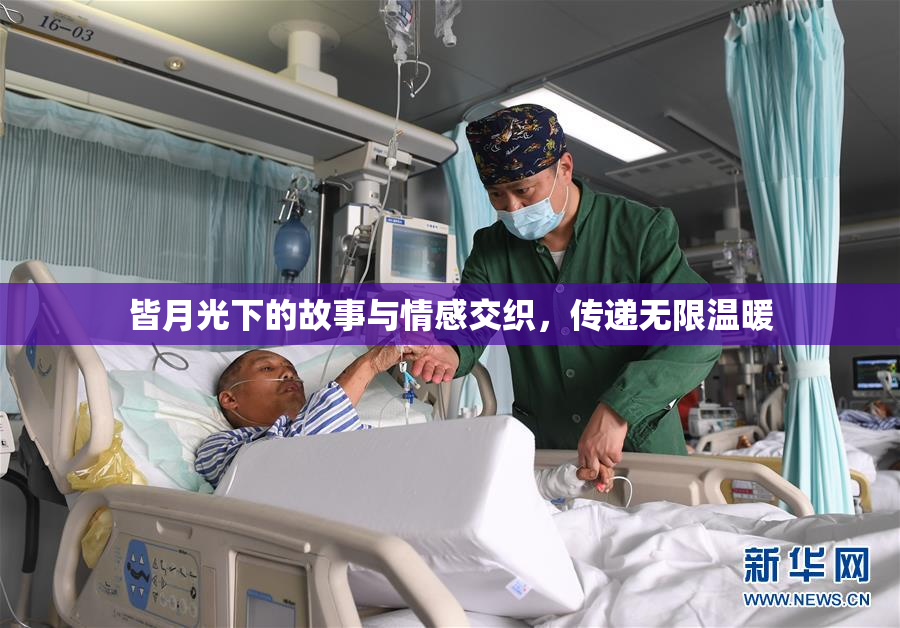 皆月光下的故事与情感交织，传递无限温暖