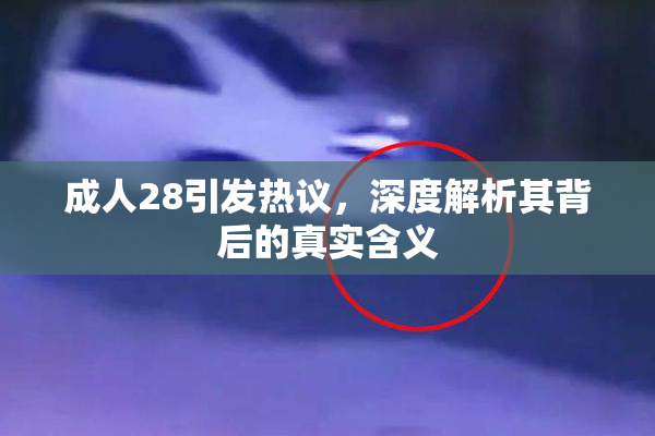 成人28引发热议，深度解析其背后的真实含义