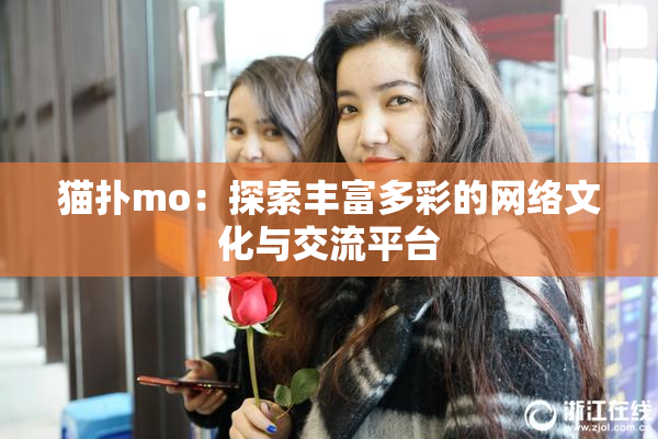 猫扑mo：探索丰富多彩的网络文化与交流平台
