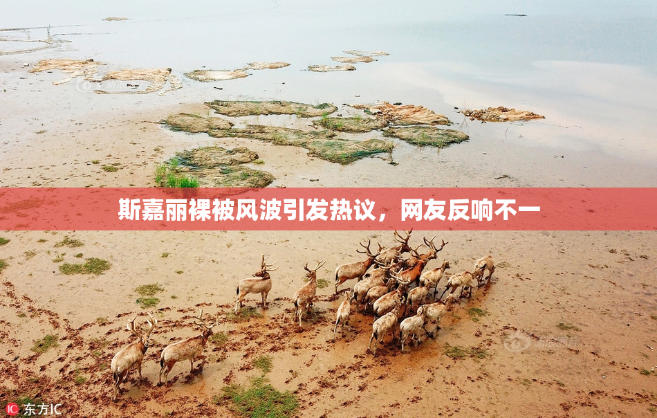 斯嘉丽裸被风波引发热议，网友反响不一