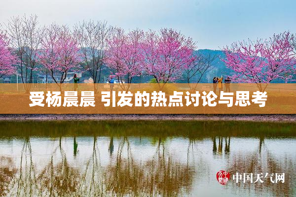 受杨晨晨 引发的热点讨论与思考