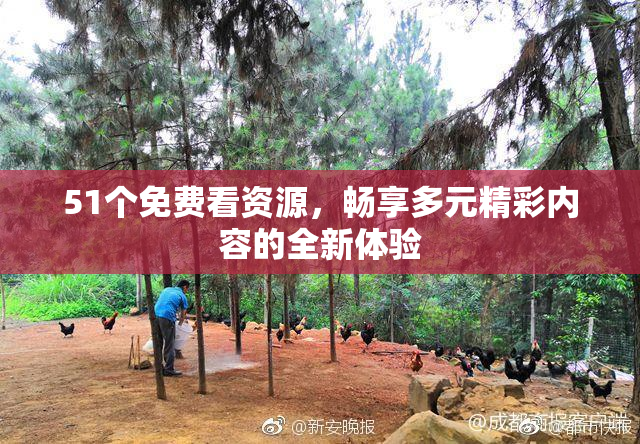 51个免费看资源，畅享多元精彩内容的全新体验