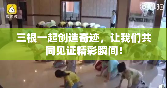 三根一起创造奇迹，让我们共同见证精彩瞬间！