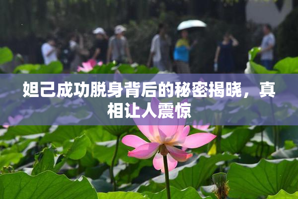 妲己成功脱身背后的秘密揭晓，真相让人震惊