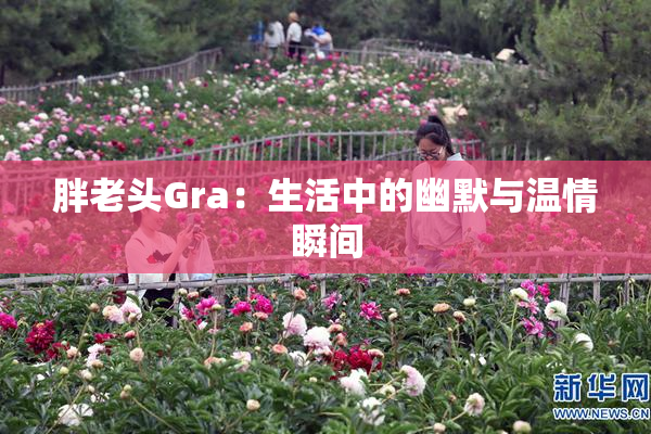 胖老头Gra：生活中的幽默与温情瞬间