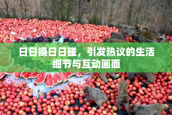 日日摸日日碰，引发热议的生活细节与互动画面