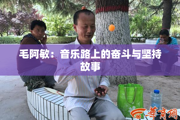 毛阿敏：音乐路上的奋斗与坚持故事