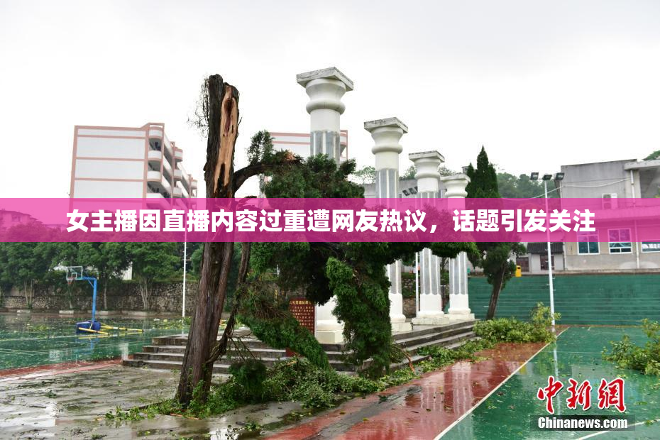 女主播因直播内容过重遭网友热议，话题引发关注