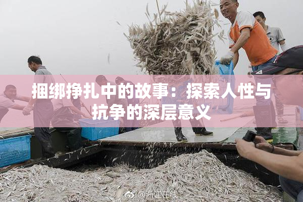 捆绑挣扎中的故事：探索人性与抗争的深层意义