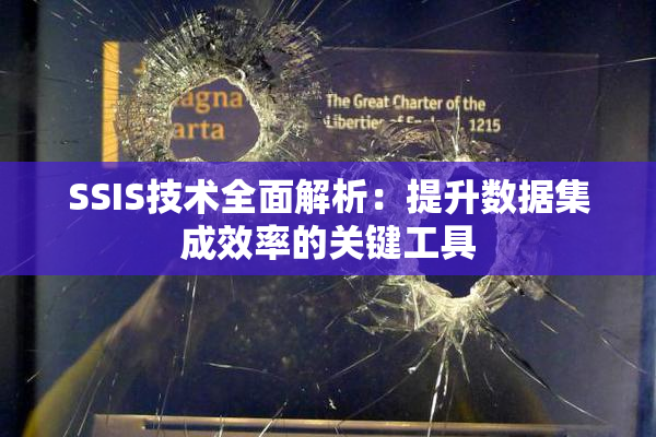 SSIS技术全面解析：提升数据集成效率的关键工具