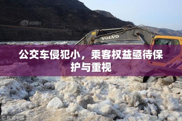 公交车侵犯小，乘客权益亟待保护与重视