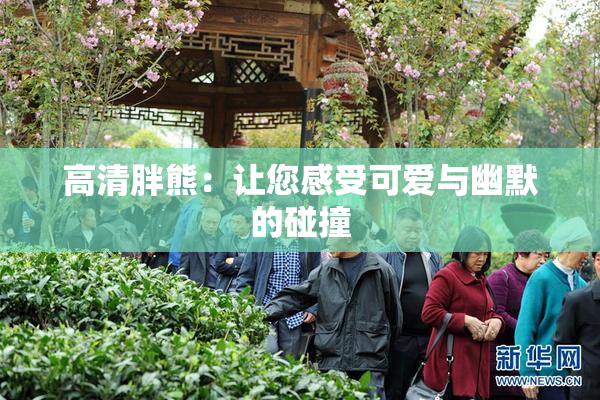 高清胖熊：让您感受可爱与幽默的碰撞