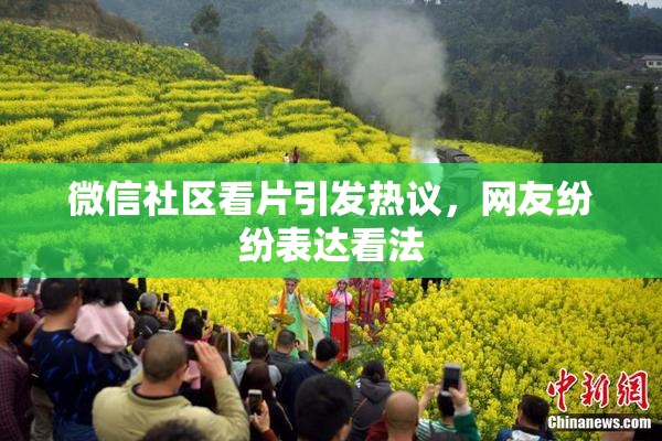 微信社区看片引发热议，网友纷纷表达看法