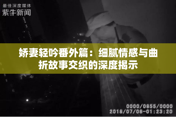 娇妻轻吟番外篇：细腻情感与曲折故事交织的深度揭示
