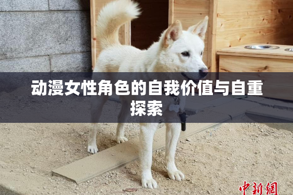 动漫女性角色的自我价值与自重探索