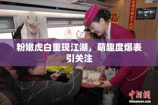 粉嫩虎白重现江湖，萌趣度爆表引关注