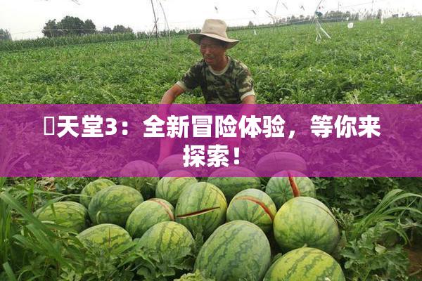 妺天堂3：全新冒险体验，等你来探索！