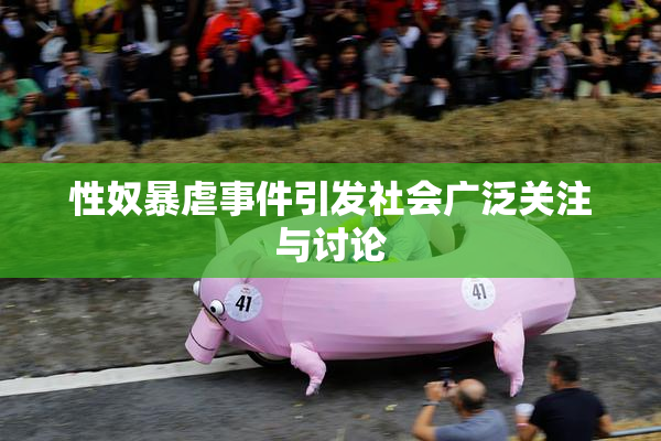 性奴暴虐事件引发社会广泛关注与讨论