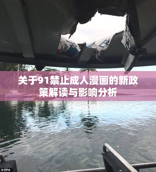 关于91禁止成人漫画的新政策解读与影响分析