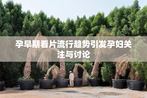 孕早期看片流行趋势引发孕妇关注与讨论
