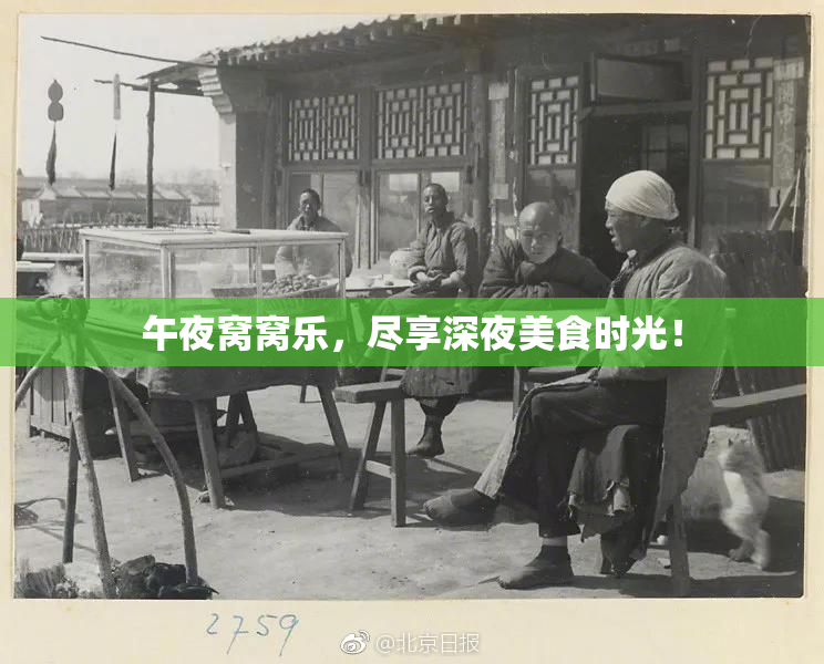 午夜窝窝乐，尽享深夜美食时光！
