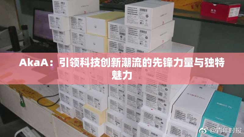 AkaA：引领科技创新潮流的先锋力量与独特魅力