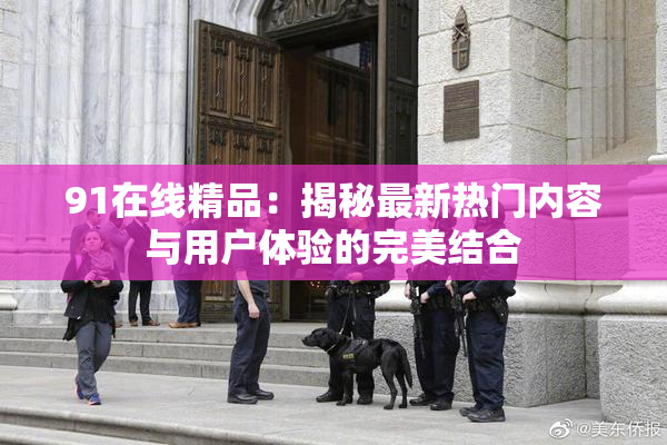 91在线精品：揭秘最新热门内容与用户体验的完美结合