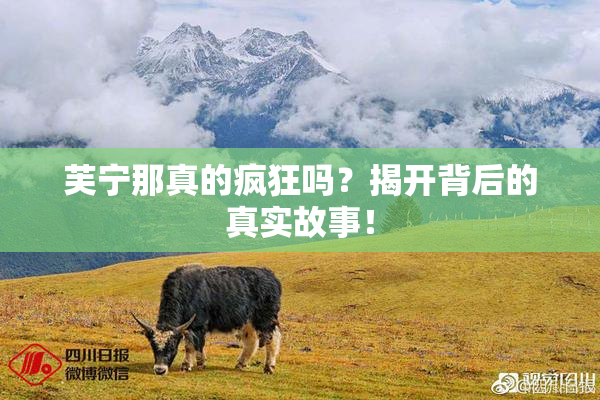 芙宁那真的疯狂吗？揭开背后的真实故事！