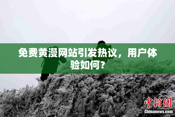 免费黄漫网站引发热议，用户体验如何？
