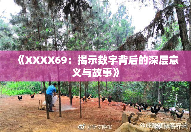 《XXXX69：揭示数字背后的深层意义与故事》