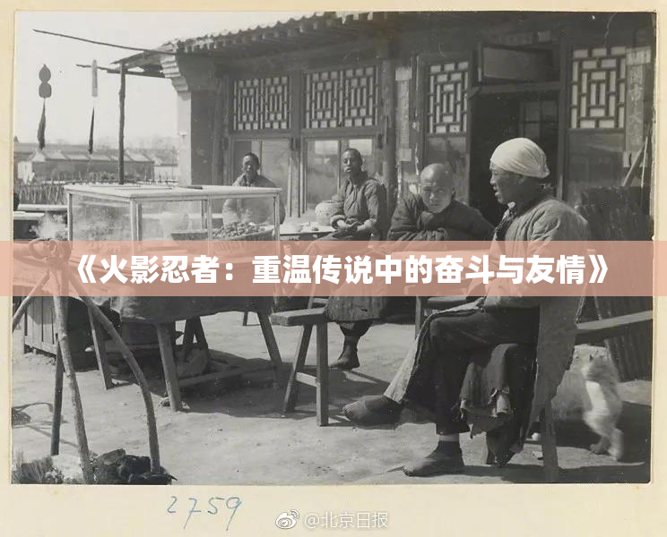 《火影忍者：重温传说中的奋斗与友情》