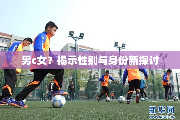 男c女？揭示性别与身份新探讨