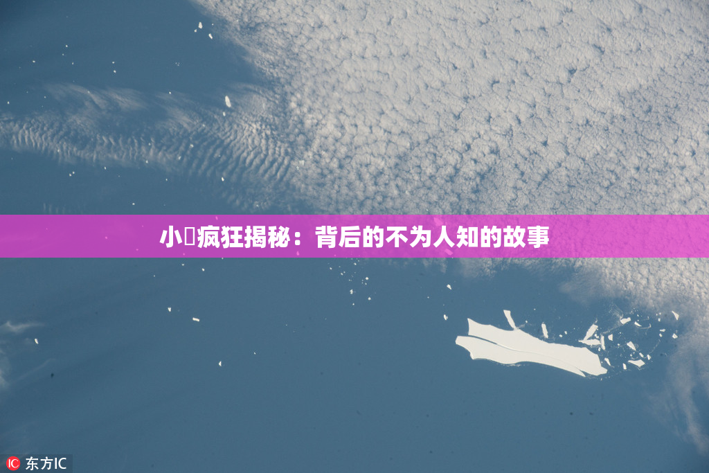 小泬疯狂揭秘：背后的不为人知的故事