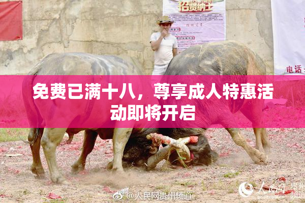 免费已满十八，尊享成人特惠活动即将开启