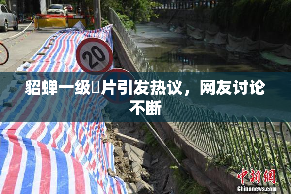 貂蝉一级婬片引发热议，网友讨论不断