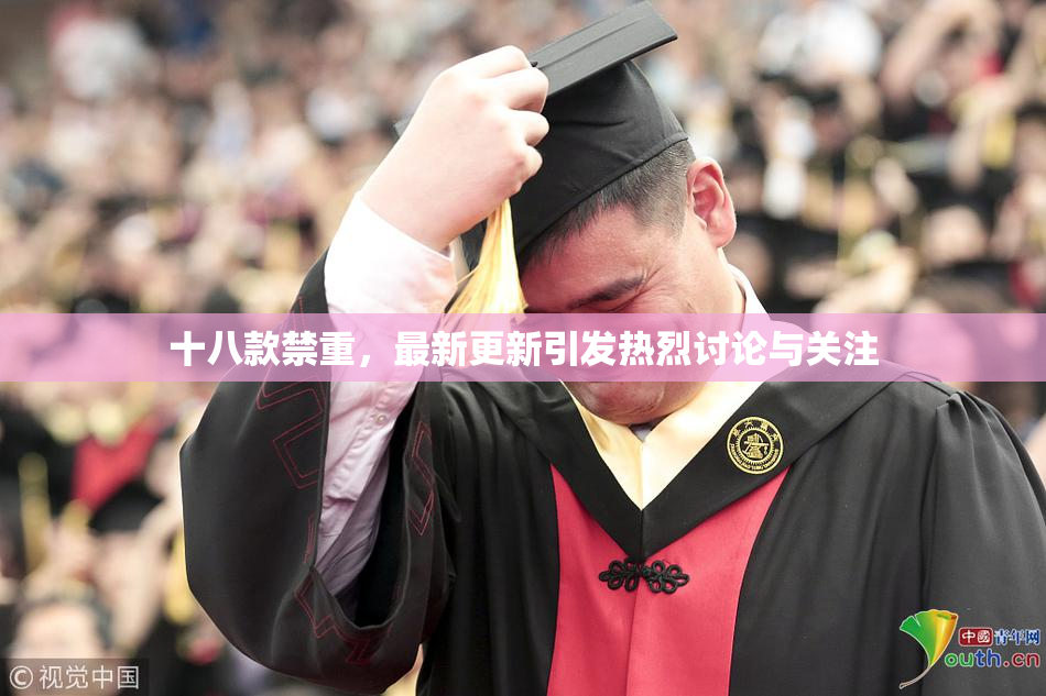 十八款禁重，最新更新引发热烈讨论与关注