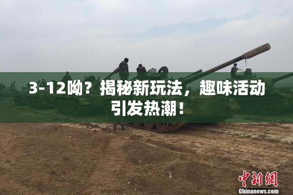 3-12呦？揭秘新玩法，趣味活动引发热潮！