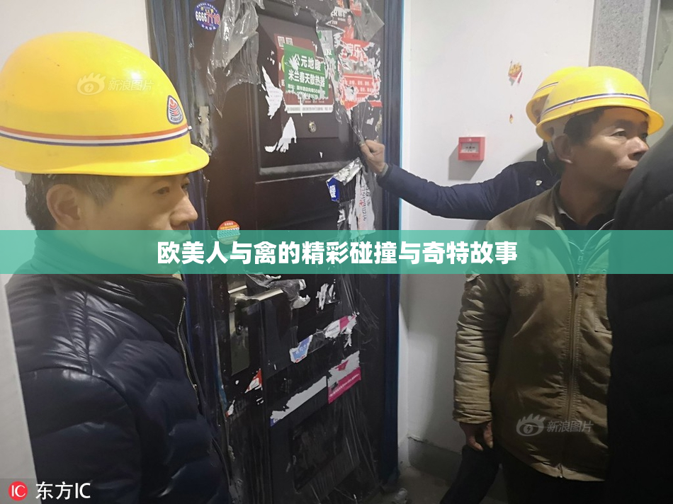 欧美人与禽的精彩碰撞与奇特故事