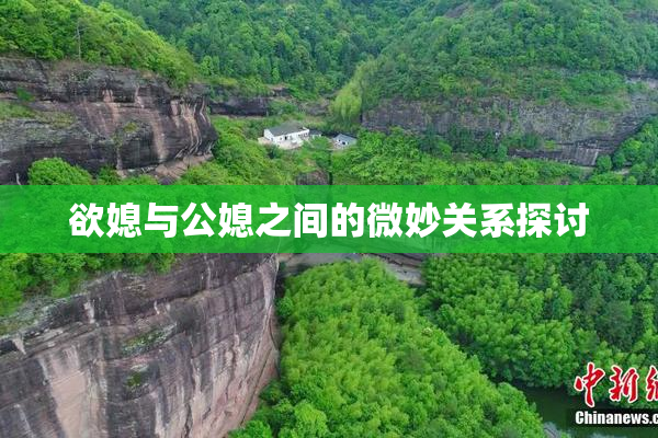 欲媳与公媳之间的微妙关系探讨