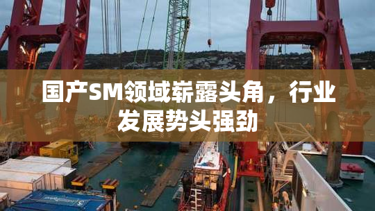 国产SM领域崭露头角，行业发展势头强劲